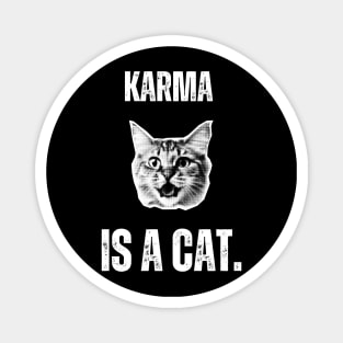 Karma is a Cat Magnet